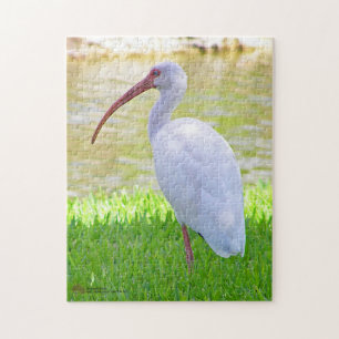 Ibis auf ein Lichtbild Puzzle