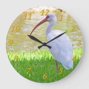 Ibis auf einem Halbbild Große Wanduhr