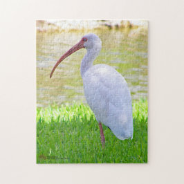Ibis auf einem Halbbild Puzzle