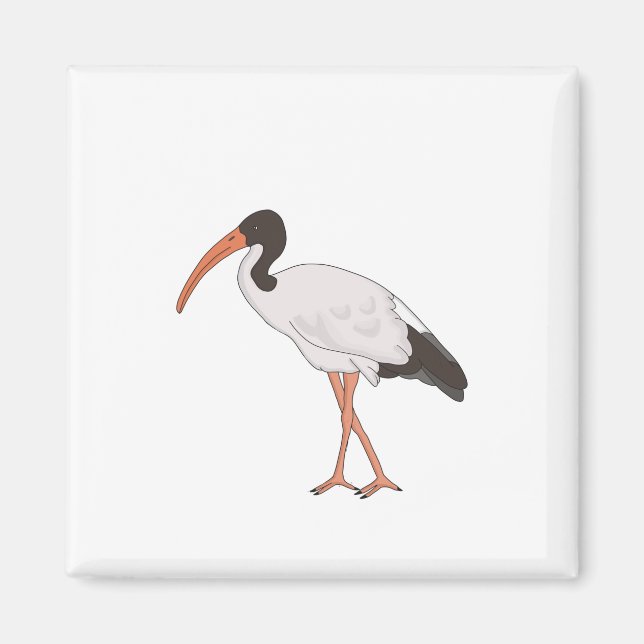 Ibis Bin Chicken Bird Magnet (Vorne)