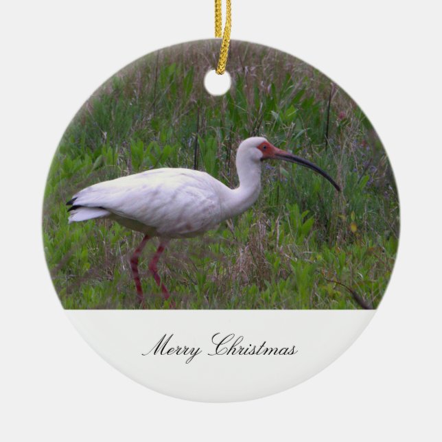 Ibis Bird Foto Ornament (Vorne)