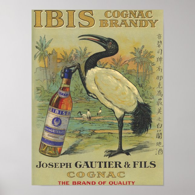 Ibis Cognac - Joseph Gautier & Fils Promo Poster (Vorne)