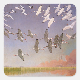 Ibis-Fliegen über Feuchtgebiete, Vintage Vögel Quadratischer Aufkleber