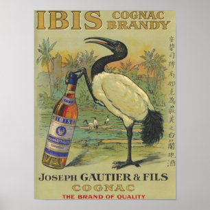 IBIS-Kognak - Joseph Gautier u. Fils Promo Poster