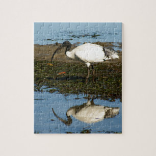IBIS PUZZLE