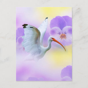 Ibis und Pansy Postcard Postkarte