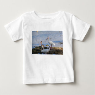 Ibis-Vögel am Ufer der Bucht von Florida Baby T-shirt