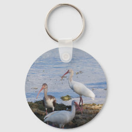 Ibis-Vögel am Ufer der Bucht von Florida Schlüsselanhänger