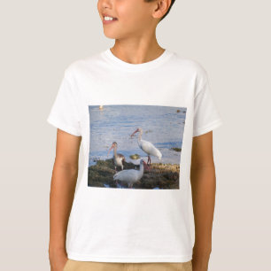 Ibis-Vögel am Ufer der Bucht von Florida T-Shirt