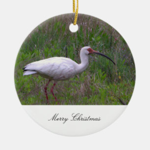 Ibis-Vogel-Foto-Ornament Keramik Ornament