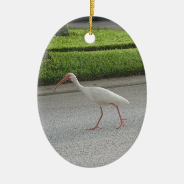 Ibis Walking Ornament (Vorne)