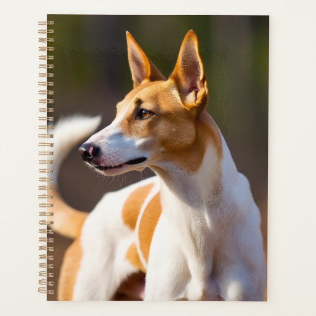 Ibiza-Hund Planer (Vorderseite)