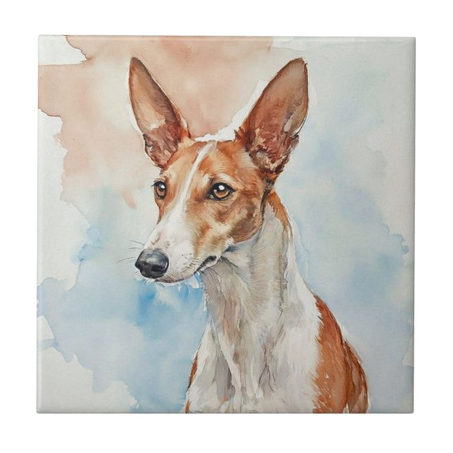Ibiza-Podenco-Acryl-Fototafel Fliese (Vorderseite)