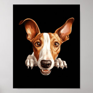 Ibiza-Podengo-Hundemutter-Vater-lugender-Welpe Poster