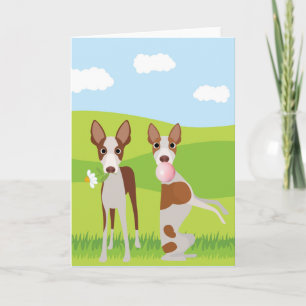 Ibizan Hound Dog Animal Bubble Gum Karte