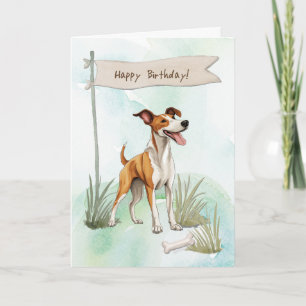 Ibizan Hound Dog Outdoor under Birthday Sign Karte