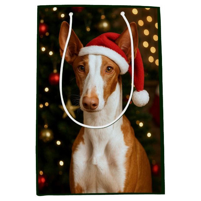 Ibizan Hound Holiday  Mittlere Geschenktüte (Vorderseite)
