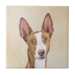 Ibizan Hound Malerei - Niedliche Original Hunde Ku Fliese