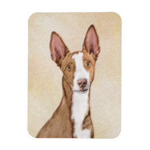 Ibizan Hound Malerei - Niedliche Original Hunde Ku Magnet
