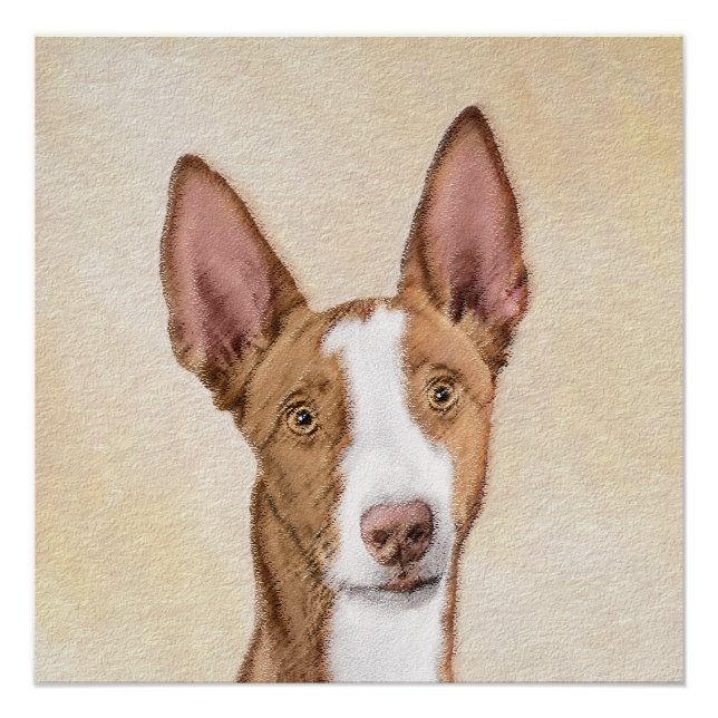 Ibizan Hound Malerei - Niedliche Original Hunde Ku Poster (Vorderseite)