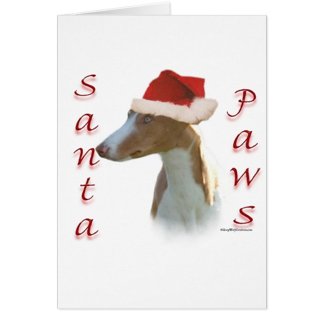 Ibizan Hound Santa Paws (Vorne)