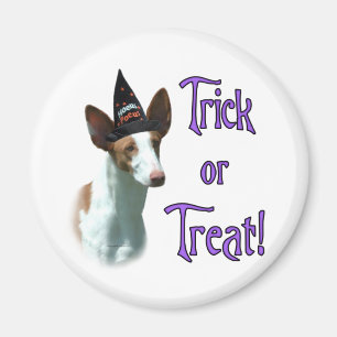 Ibizan Hound Trick Magnet