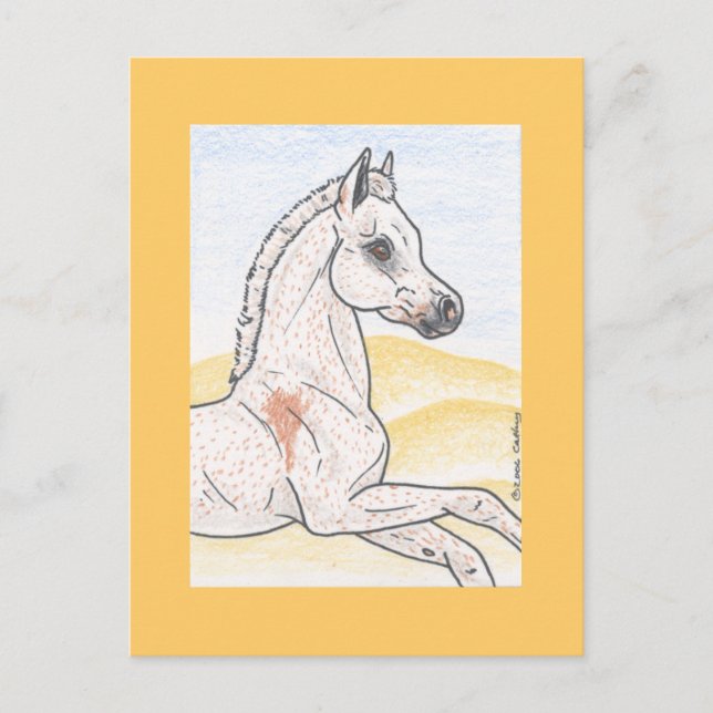 Ibn Shai Hulud Postkarte (Vorderseite)