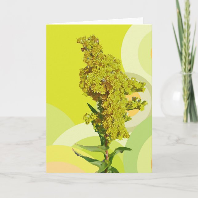 IBSP Beach Solidago (Goldenrod) Note Card Karte (Vorderseite)