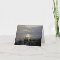IBSP-Note-Karte für Sunset Dune Grass