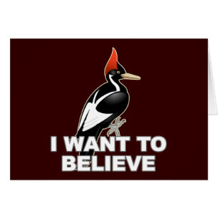 IBWO: Ich will, um zu glauben