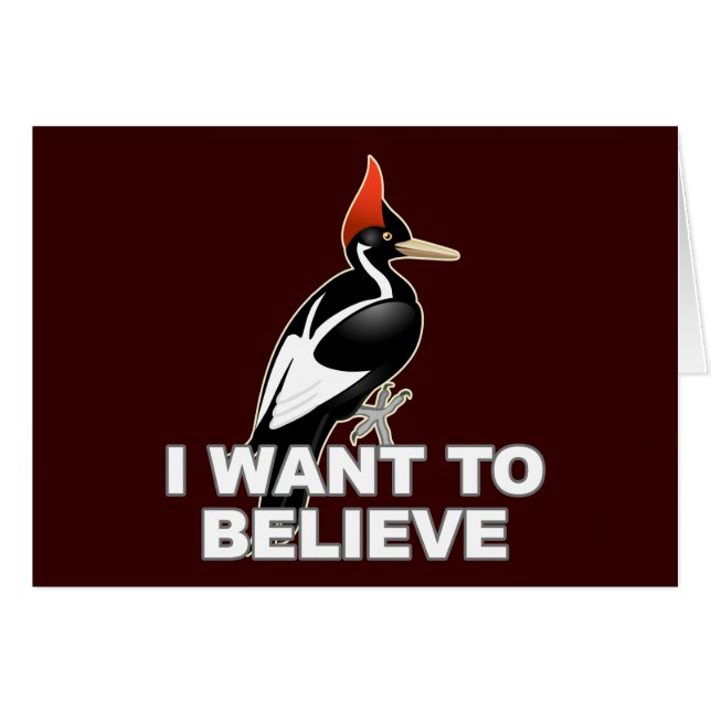 IBWO: Ich will, um zu glauben (Vorderseite (Horizontal))