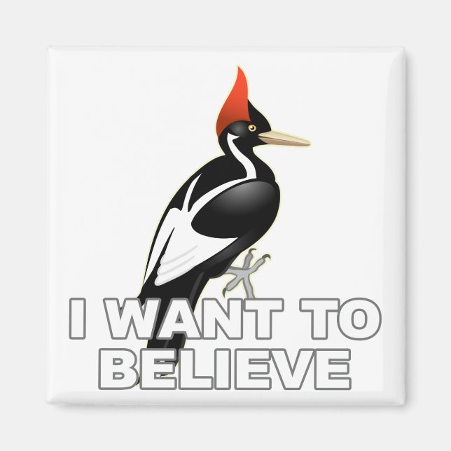 IBWO: Ich Wollte zu glauben Magnet (Vorne)