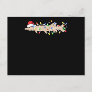 Ice fishing Muskie Christmas Musky Funny Santa Postkarte