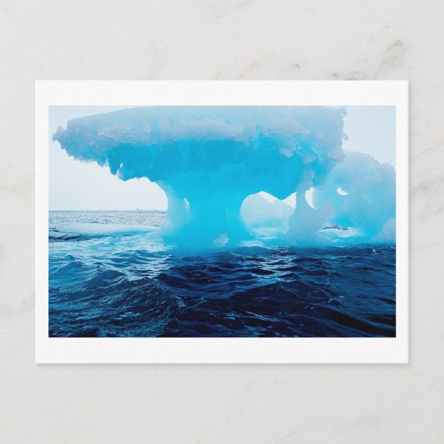 Ice Mushroom Postcard Postkarte (Vorderseite)