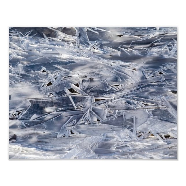  Ice Not ICE Fotodruck (Vorne)