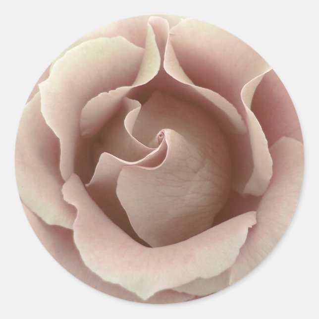 ICE PINK Rose - Hochzeitlicher Umschlag Aufkleber (Vorderseite)