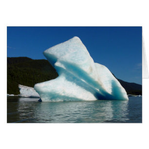 Iceberg am Mendenhall See in Alaska