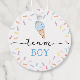 Icecream Team Boy or Girl Gender Reveal Geschenkanhänger