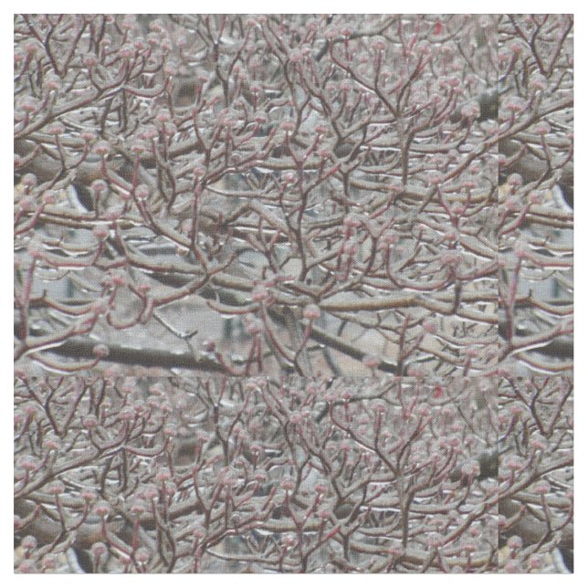 Iced Dogwood Tree Stoff (Nahaufnahme)