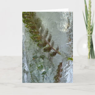 Iced Ferns, Karte