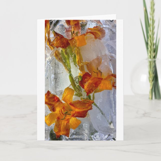Iced Lilies, Karte (Vorderseite)