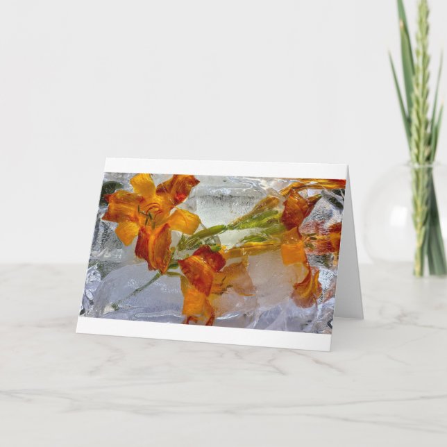 Iced Lilies, Karte (Vorderseite)