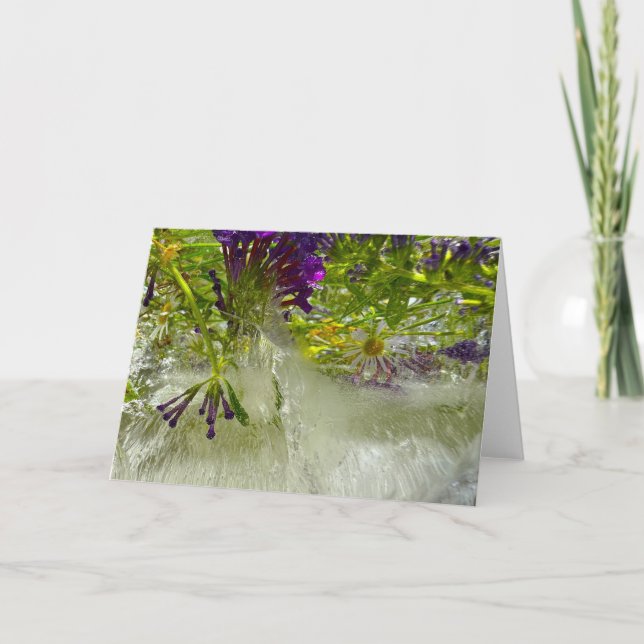 Iced Lilies, Karte (Vorderseite)