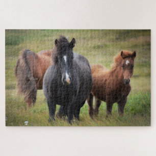 Iceland Horses Nature Landscape Animal Puzzle