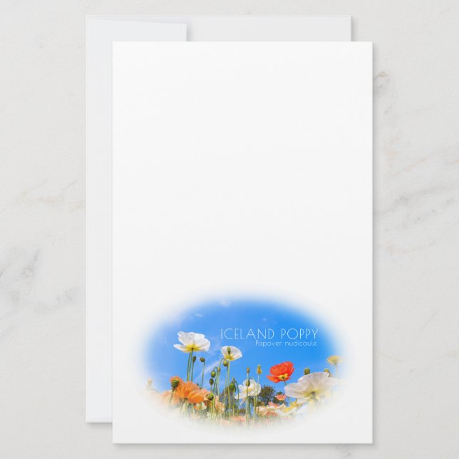 Iceland Poppy Briefpapier (Vorderseite)