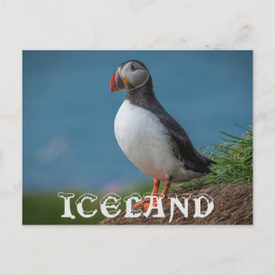 ICELAND PUFFIN POSTCARD POSTKARTE