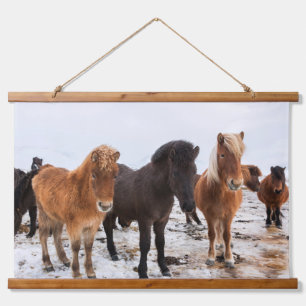 Icelandic Horse During Winter Iceland Wandteppich Mit Holzrahmen