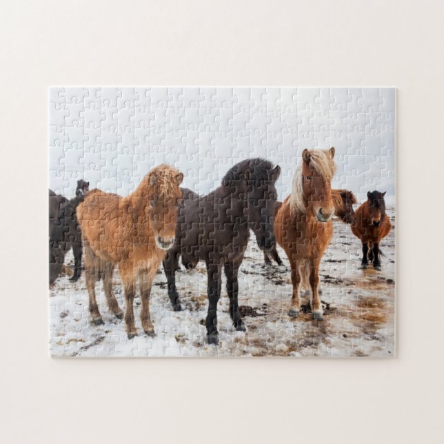 Icelandic Horse during winter on Iceland Puzzle (Horizontal)
