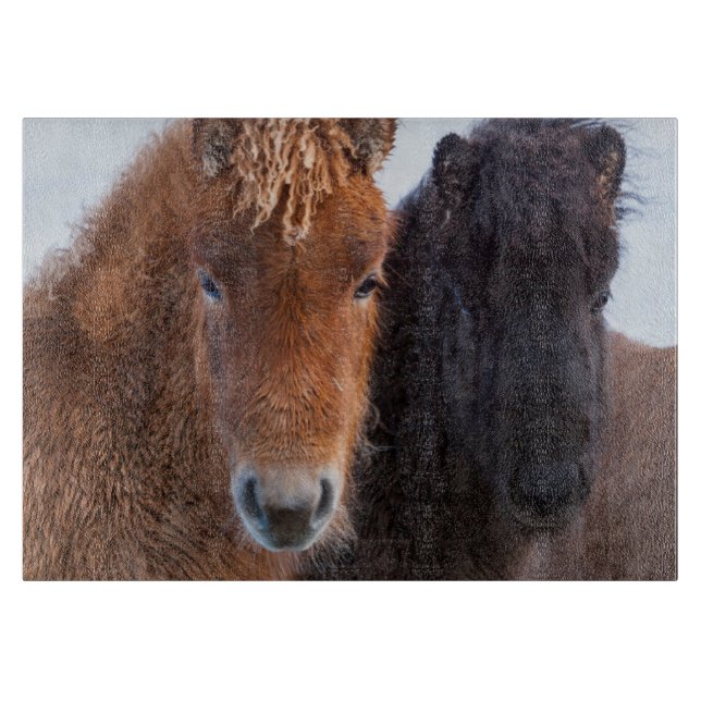 Icelandic Horse during winter on Iceland Schneidebrett (Vorderseite)