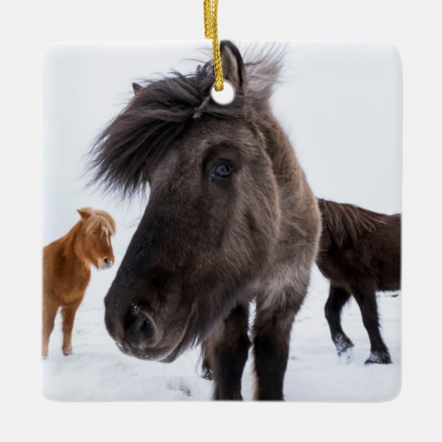 Icelandic Horse portrait Keramikornament (Vorderseite)